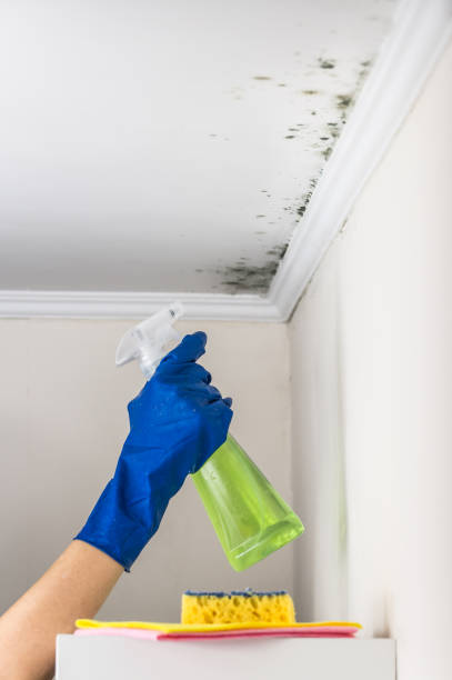 Best Mold Remediation for Specific Building Types in Colony Rk, PA